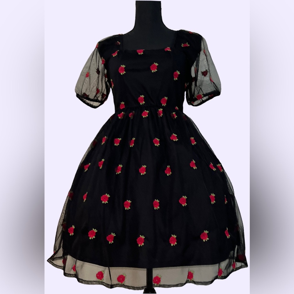 Hot Topic- Cosmic Aura Embroidered Rose Mesh Mini Dress